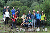 Escursioni a Ischia: dal Bosco della Maddalena a Sant'Angelo 8