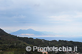 Escursioni a Ischia: dal Bosco della Maddalena a Sant'Angelo 58