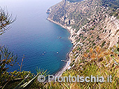 La Chiesa della Madonna di Montevergine 5