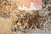 Gli affreschi della Torre di Guevara a Cartaromana 15