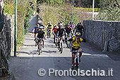 Ischia in mountain bike 37