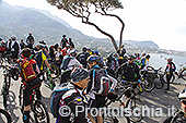 Ischia in mountain bike 44